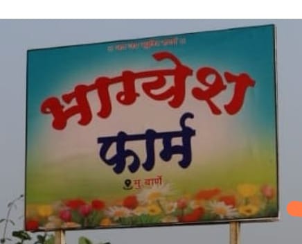 WhatsApp Image 2024-11-12 at 11.28.29 AM